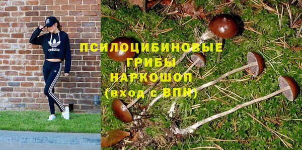 соль ск Сатка