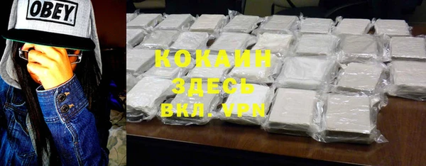 дурь Алексин