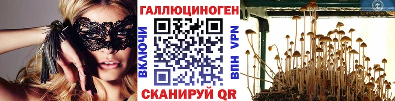 Псилоцибиновые грибы Cubensis Азнакаево